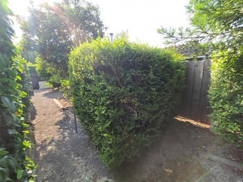 8071 Washington Ave, Sebastopol, CA 95472 photo 33