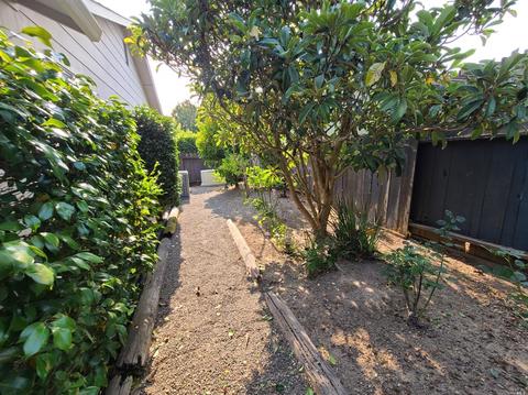 8071 Washington Ave, Sebastopol, CA 95472 photo 34