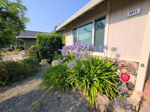 8071 Washington Ave, Sebastopol, CA 95472 photo 4