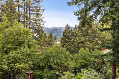 110 Florence Ave, Mill Valley, CA 94941 photo 4