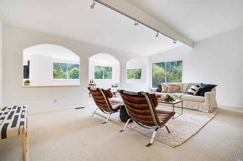 35 Arroyo Rd, Lagunitas, CA 94938 photo 18