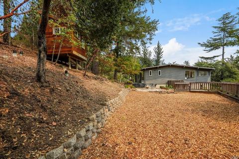 35 Arroyo Rd, Lagunitas, CA 94938 photo 53