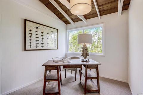 331 Dolan Ave, Mill Valley, CA 94941 photo 15