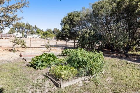 1764 Bodega Ave, Petaluma, CA 94952 photo 50