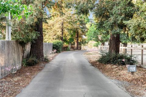 1764 Bodega Ave, Petaluma, CA 94952 photo 37