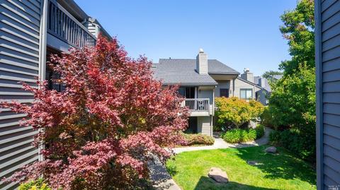 193 Cypress Pl, Sausalito, CA 94965 photo 15