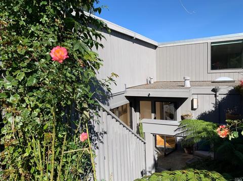 406 Durant Way, Mill Valley, CA 94941 photo 6
