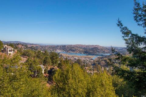 406 Durant Way, Mill Valley, CA 94941 photo 32