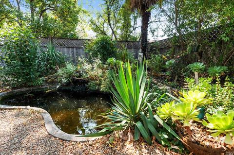 948 Madrone Rd, Sonoma, CA 95476 photo 26