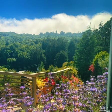 522 Pixie Trl, Mill Valley, CA 94941 photo 3