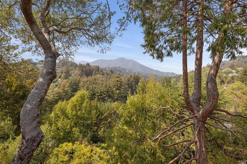 35 Hillside Ave, Mill Valley, CA 94941 photo 17