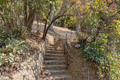 35 Hillside Ave, Mill Valley, CA 94941 photo 34