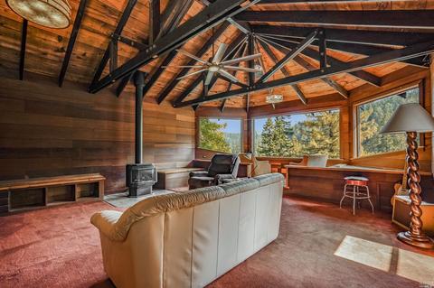 80 Spring Rd, Lagunitas, CA 94938 photo 7