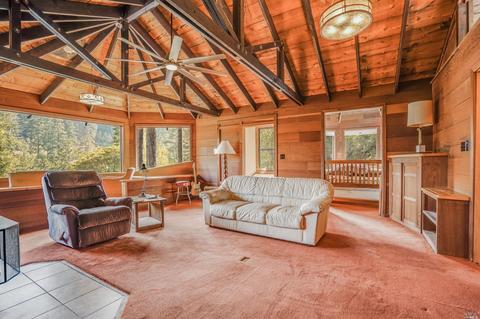 80 Spring Rd, Lagunitas, CA 94938 photo 5