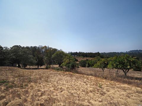 2324 Burnside Rd, Sebastopol, CA 95472 photo 21