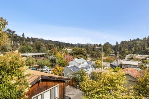 44 Bayview Ave, Mill Valley, CA 94941 photo 30