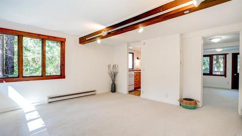 65 Lagunitas Rd, Lagunitas, CA 94938 photo 30