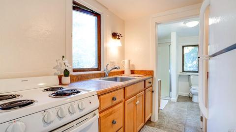65 Lagunitas Rd, Lagunitas, CA 94938 photo 32