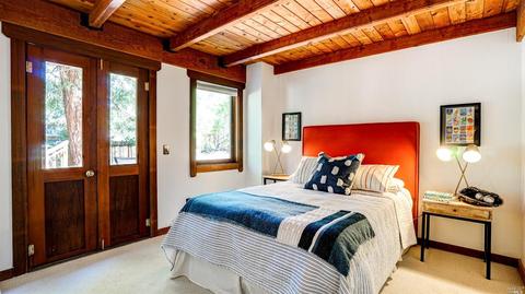 65 Lagunitas Rd, Lagunitas, CA 94938 photo 23