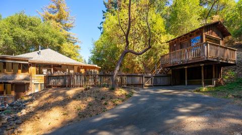 65 Lagunitas Rd, Lagunitas, CA 94938 photo 42