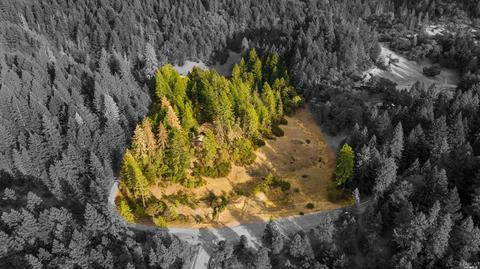 5151 Ridgewood Rd, Willits, CA 95490 photo 27