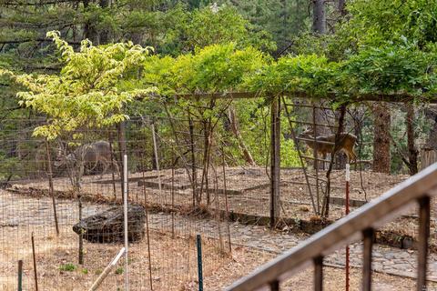 5151 Ridgewood Rd, Willits, CA 95490 photo 26