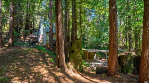 8399 Tyrone Rd, Monte Rio, CA 95462 photo 24