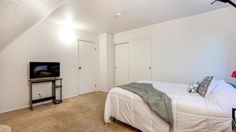 8399 Tyrone Rd, Monte Rio, CA 95462 photo 20