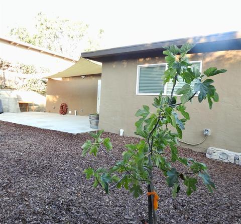 2876 Hilltop Rd, Concord, CA 94520 photo 43