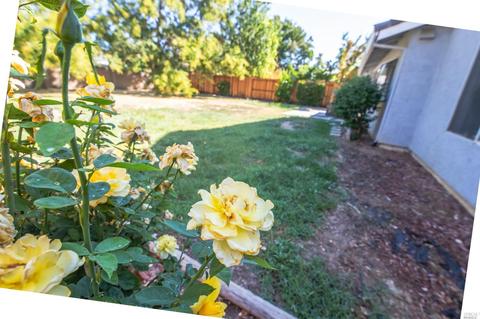 237 Lighthouse Way, Vacaville, CA 95688 photo 67
