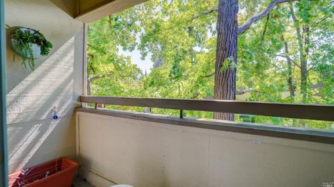 1571 Schenone Ct #C, Concord, CA 94521 photo 19