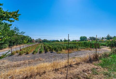 225 2nd St E #22, Sonoma, CA 95476 photo 32