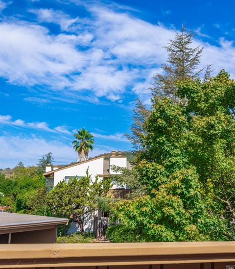 225 2nd St E #22, Sonoma, CA 95476 photo 21