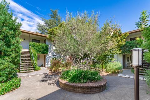 225 2nd St E #22, Sonoma, CA 95476 photo 25