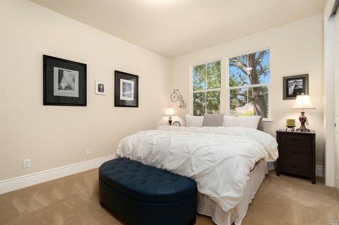 2 Treehaven Dr, Petaluma, CA 94952 photo 34
