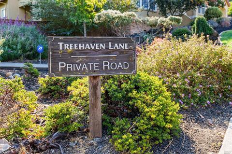 2 Treehaven Dr, Petaluma, CA 94952 photo 63