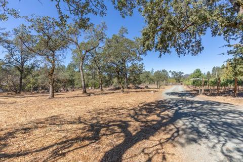 260 White Cottage Rd N, Angwin, CA 94508 photo 17