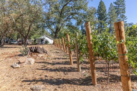 260 White Cottage Rd N, Angwin, CA 94508 photo 12