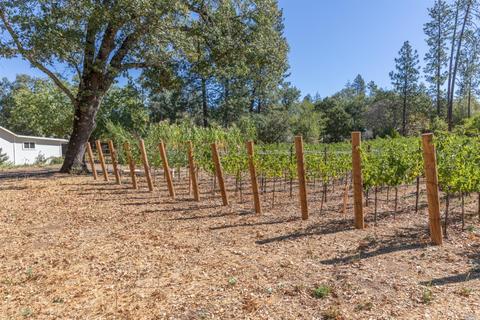 260 White Cottage Rd N, Angwin, CA 94508 photo 10