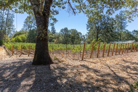 260 White Cottage Rd N, Angwin, CA 94508 photo 16