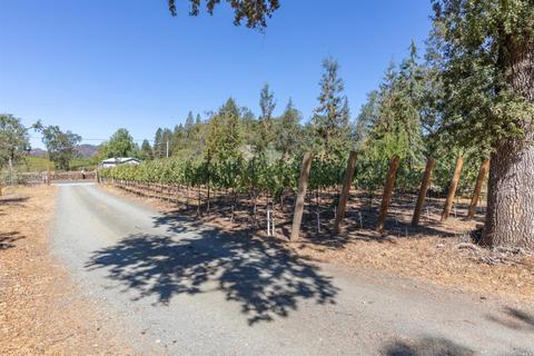 260 White Cottage Rd N, Angwin, CA 94508 photo 11