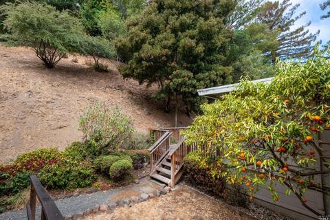 487 Montecito Ave, Corte Madera, CA 94925 photo 14