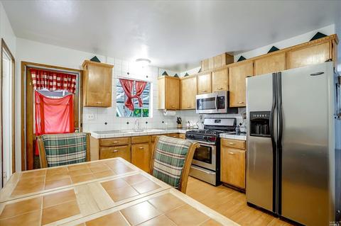 1039 Starr View Dr, Windsor, CA 95492 photo 12