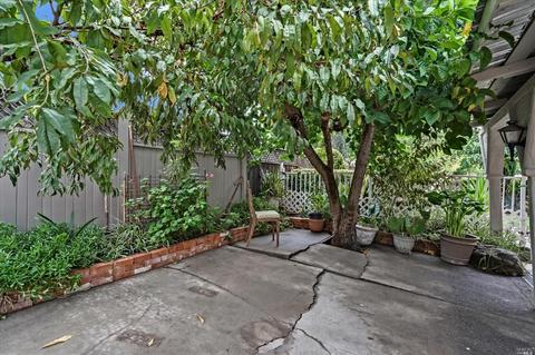 1039 Starr View Dr, Windsor, CA 95492 photo 49
