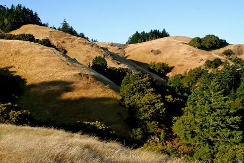 5 Meadow View Ln, San Geronimo, CA 94963 photo 1