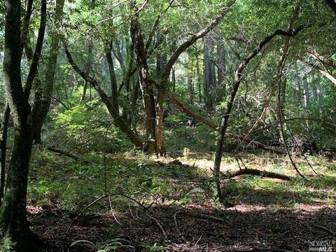5 Meadow View Ln, San Geronimo, CA 94963 photo 6
