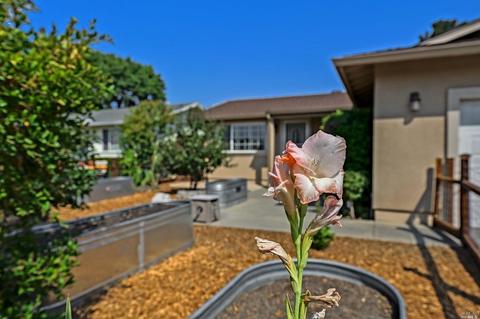 414 Bluebird Dr, Windsor, CA 95492 photo 11