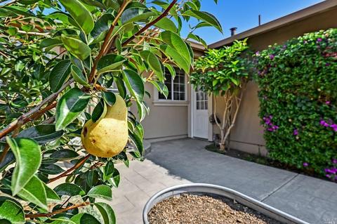 414 Bluebird Dr, Windsor, CA 95492 photo 12