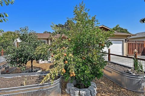 414 Bluebird Dr, Windsor, CA 95492 photo 9
