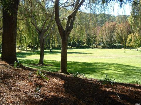 25 Creekside Ct, Corte Madera, CA 94925 photo 53